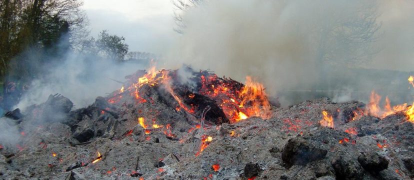 abgebranntes Osterfeuer