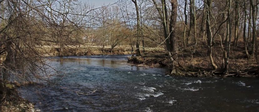 Eine Flussbiegung der Ilm zwischen Tiefurt und Kromsdorf