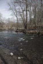 Entlang der Ilm Entlang der Ilm im März ist es kahl